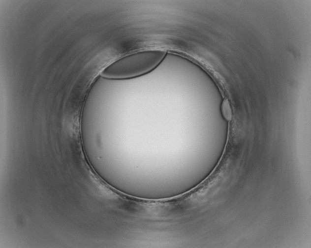 X0000111140897200906301228