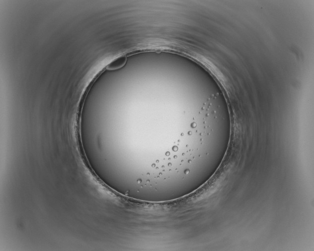 X0000111140901200906301228