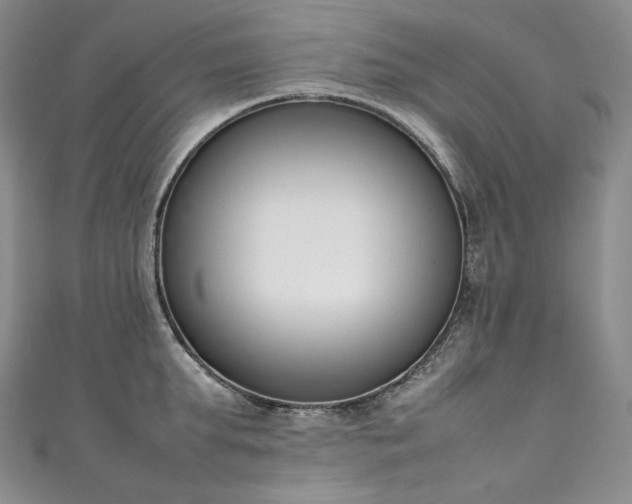 X0000111140903200906301228