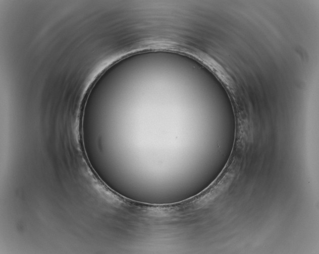 X0000111140904200906301228