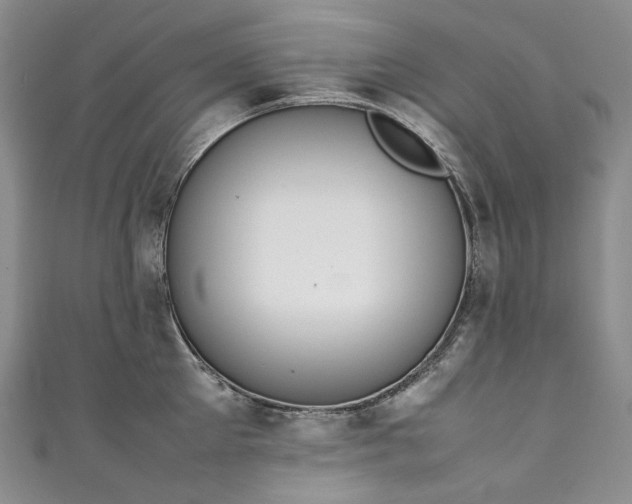 X0000111140905200906301228