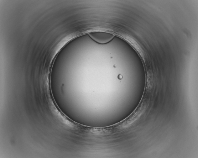 X0000111140906200906301228