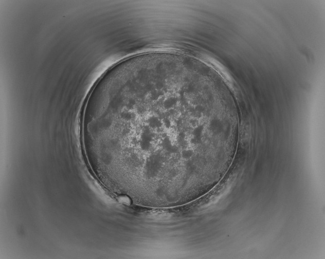 X0000111140907200906301228