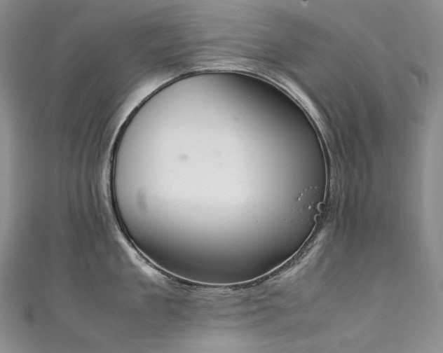 X0000111140909200906301228