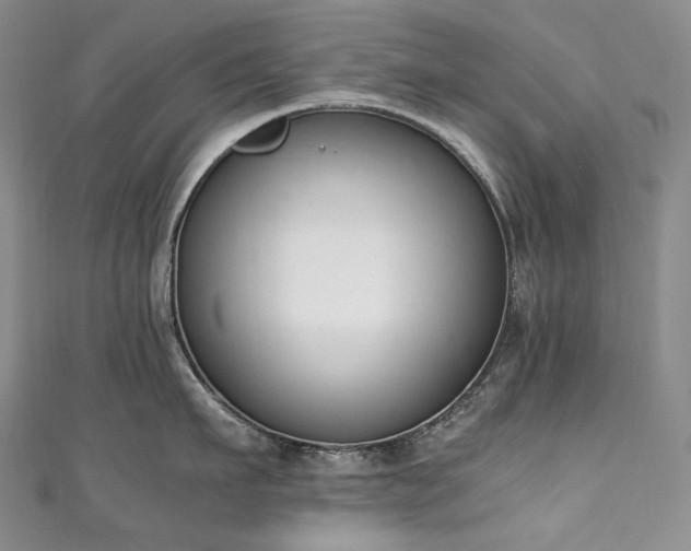 X0000111140911200906301228