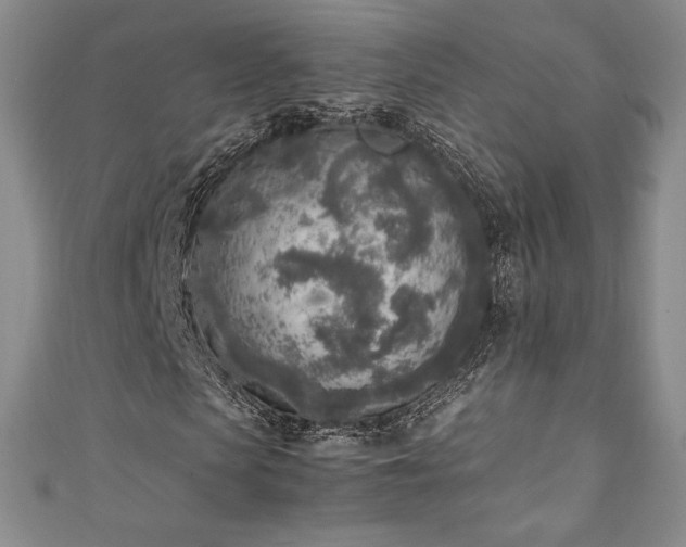 X0000111140913200906301227