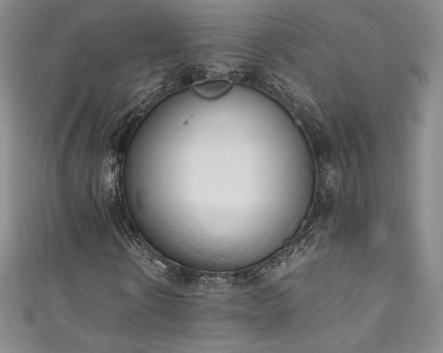 X0000111140914200906301227