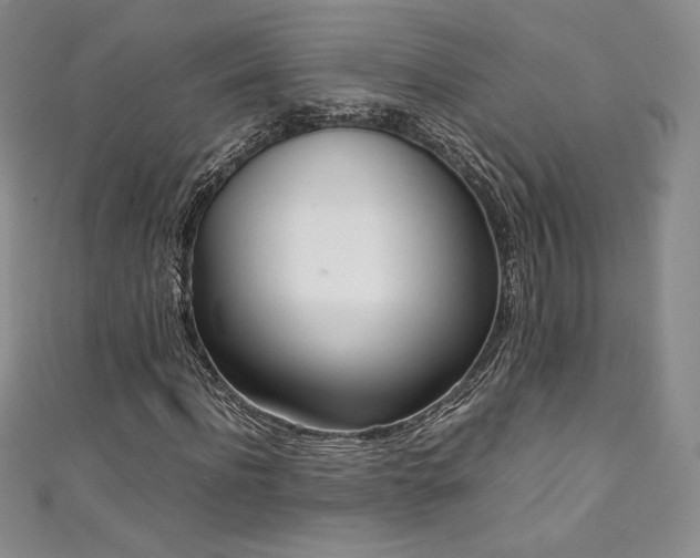 X0000111140916200906301227