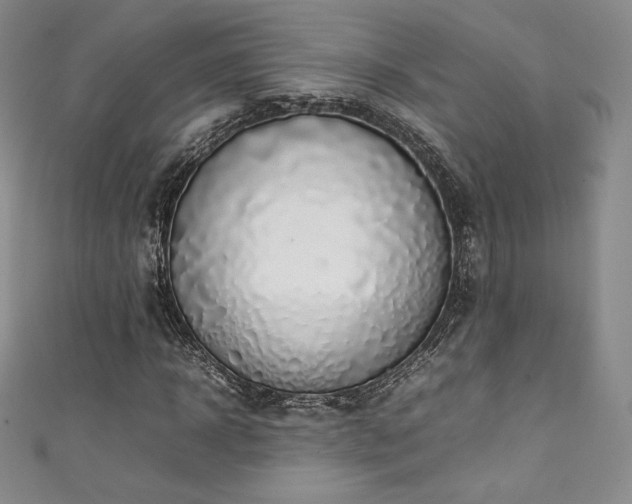 X0000111140918200906301227