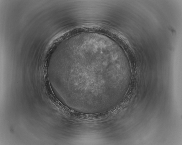 X0000111140920200906301227