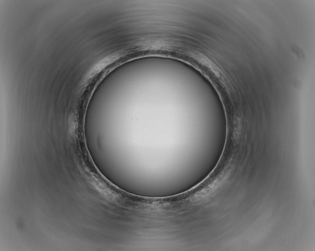 X0000111140922200906301227