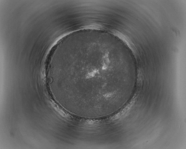 X0000111140923200906301227