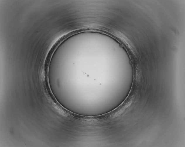 X0000111140924200906301227