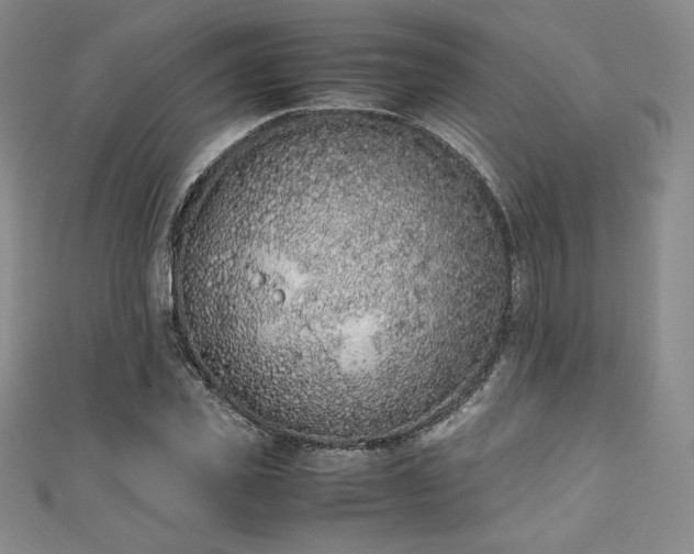 X0000111140925200906301227