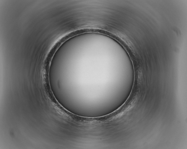 X0000111140926200906301227