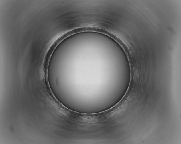 X0000111140927200906301227