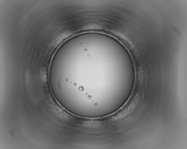X0000111140929200906301227