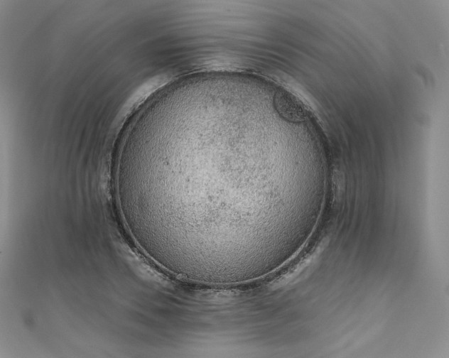 X0000111140930200906301227