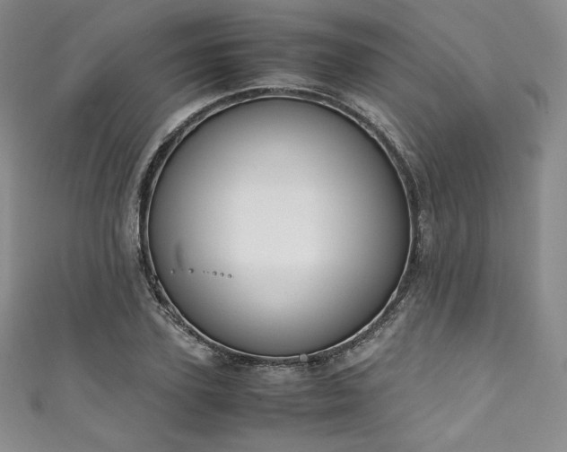 X0000111140931200906301227