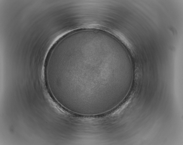 X0000111140932200906301227