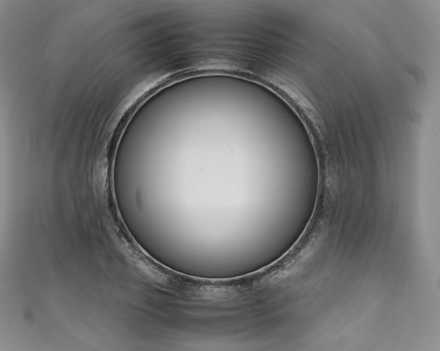 X0000111140933200906301227