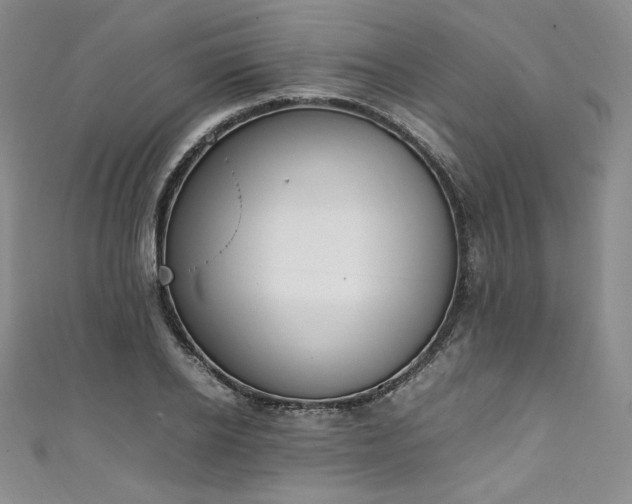 X0000111140934200906301227