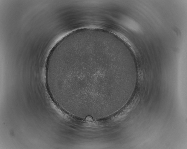 X0000111140935200906301227