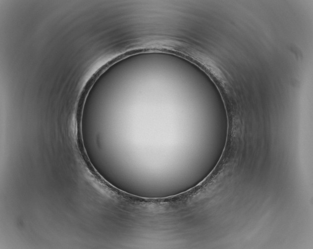 X0000111140936200906301227