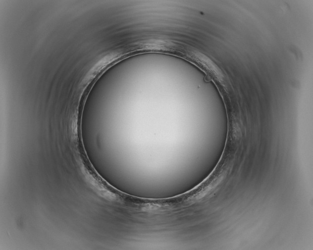 X0000111140938200906301227