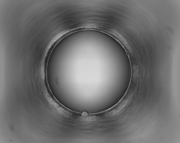 X0000111140939200906301227