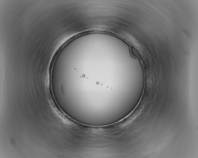 X0000111140940200906301227