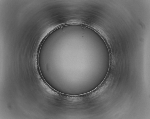 X0000111140941200906301227