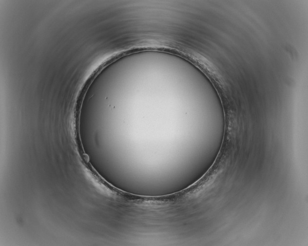 X0000111140942200906301227