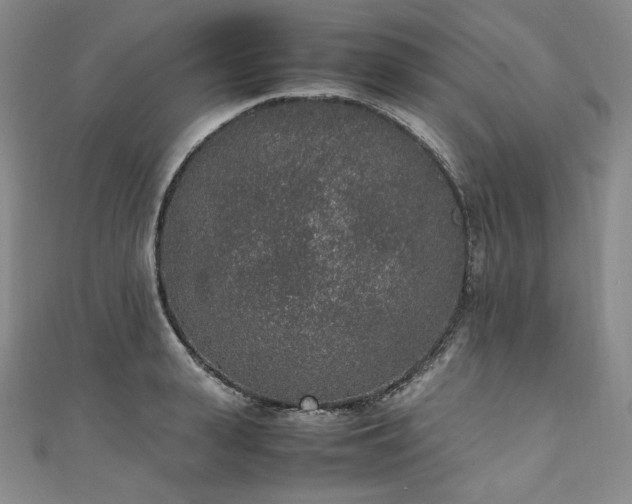 X0000111140943200906301227