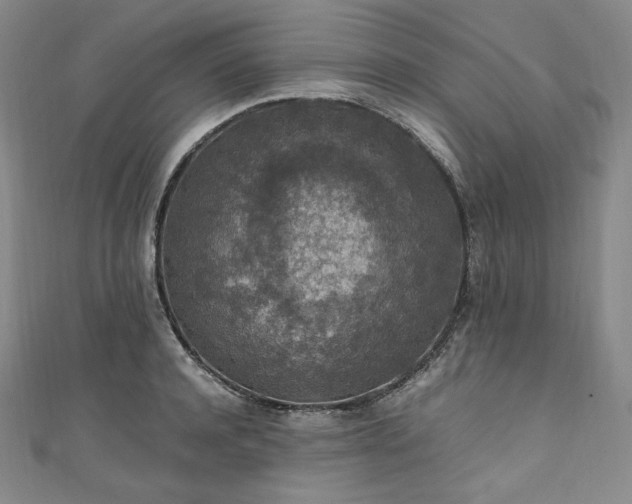 X0000111140944200906301227