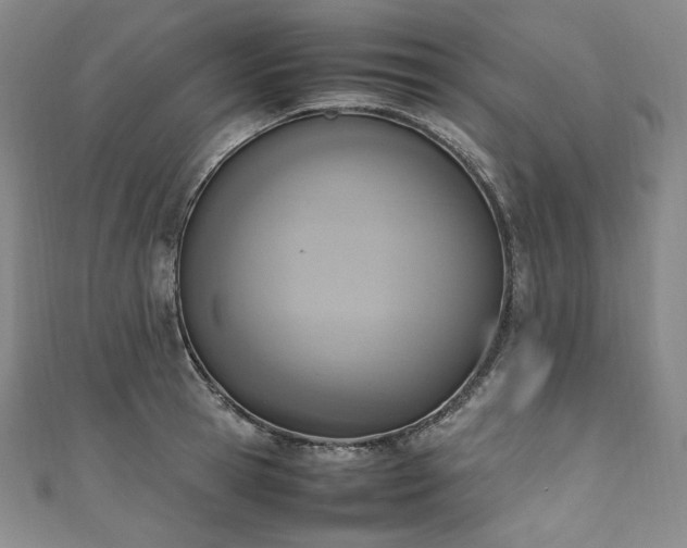 X0000111140945200906301227