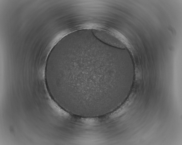 X0000111140946200906301227