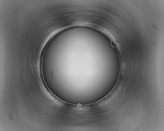 X0000111140947200906301227