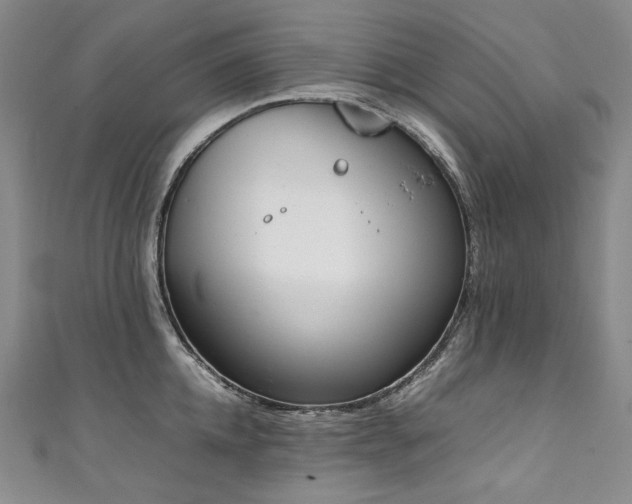 X0000111140952200906301227