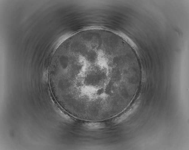 X0000111140953200906301227