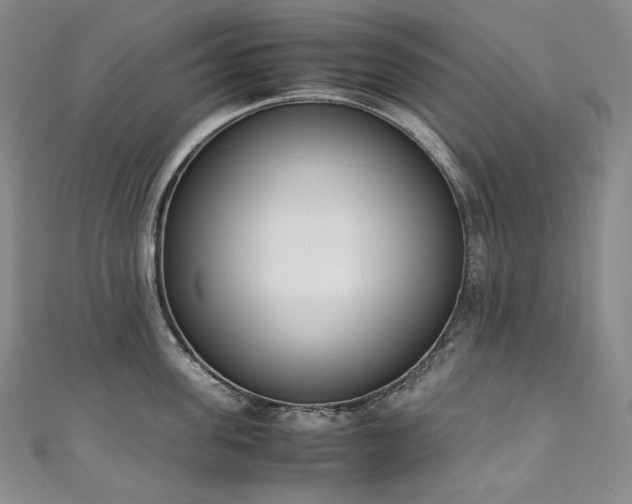 X0000111140955200906301227