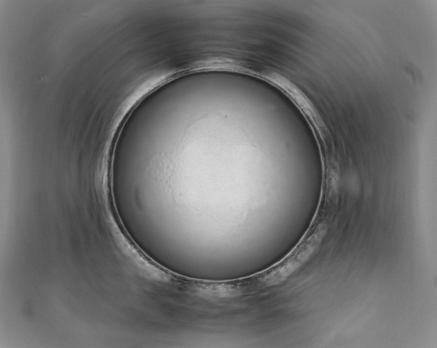 X0000111140957200906301227