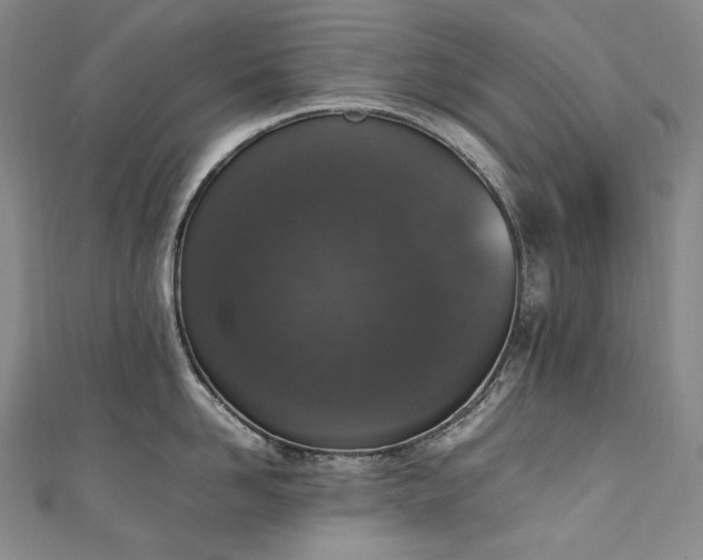 X0000111140958200906301227