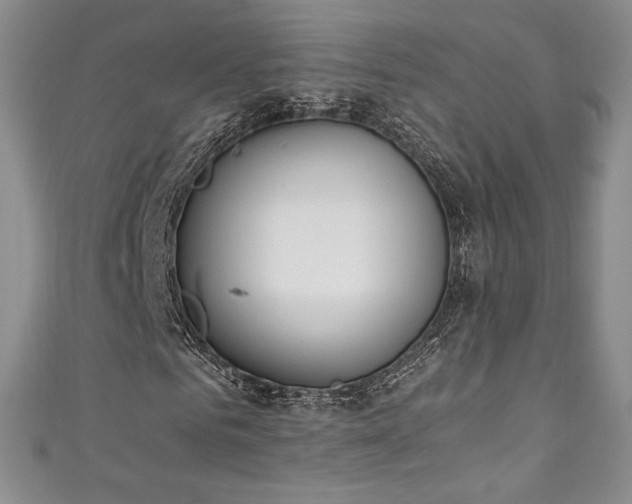 X0000111140961200906301227
