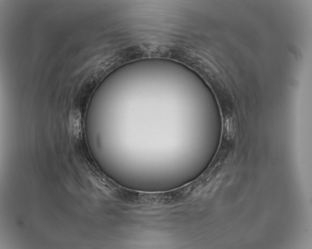 X0000111140963200906301227