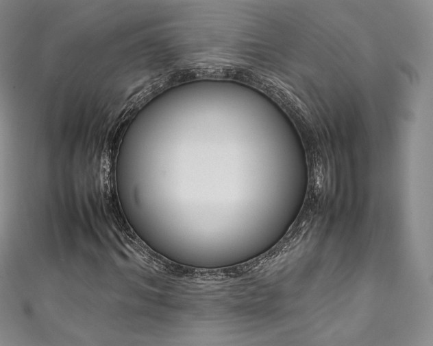 X0000111140964200906301227