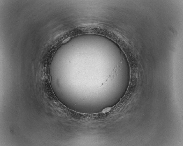 X0000111140965200906301227