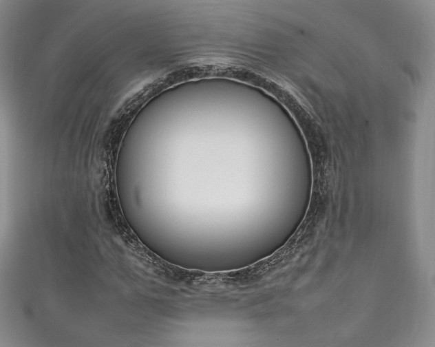 X0000111140967200906301227