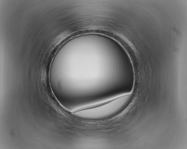 X0000111140969200906301227
