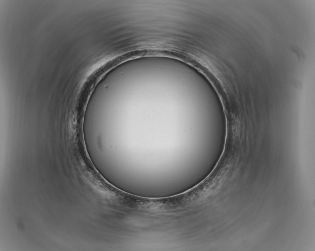 X0000111140971200906301227